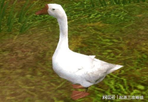 吃瓜鹅游戏视频,趣味横生，带你领略游戏魅力  第3张