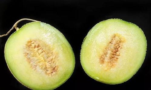 嗓子哥吃瓜,揭秘娱乐圈那些不为人知的幕后故事  第3张