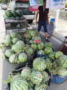 易县吃瓜事件  第3张
