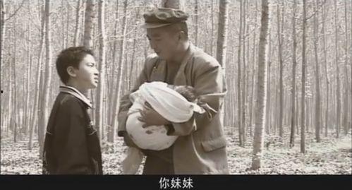 红河学院瓜怎么吃,探索美味瓜果的多重吃法