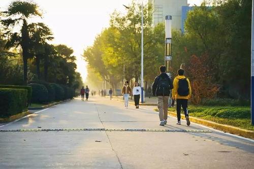 红河学院瓜怎么吃,探索美味瓜果的多重吃法  第2张
